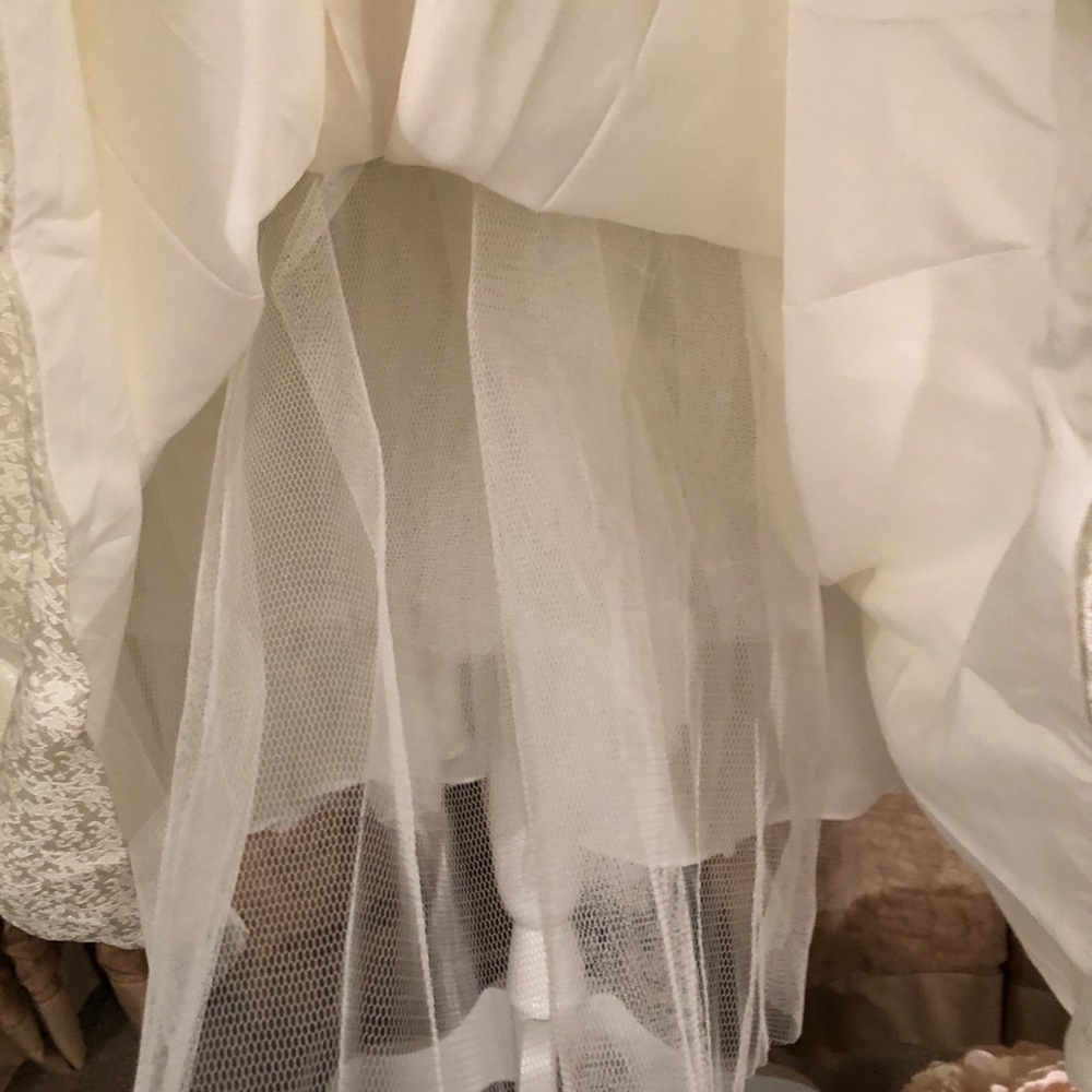 Jonesy Darling Prom / Wedding Dress - Picture 8 of 8